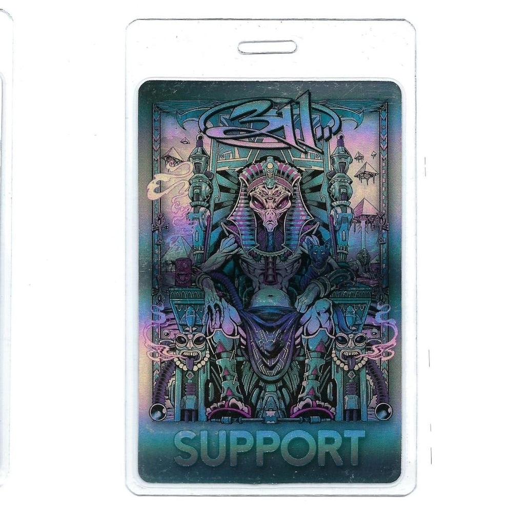 Tour Pass Laminate - 2024 311 DAY / SUPPORT