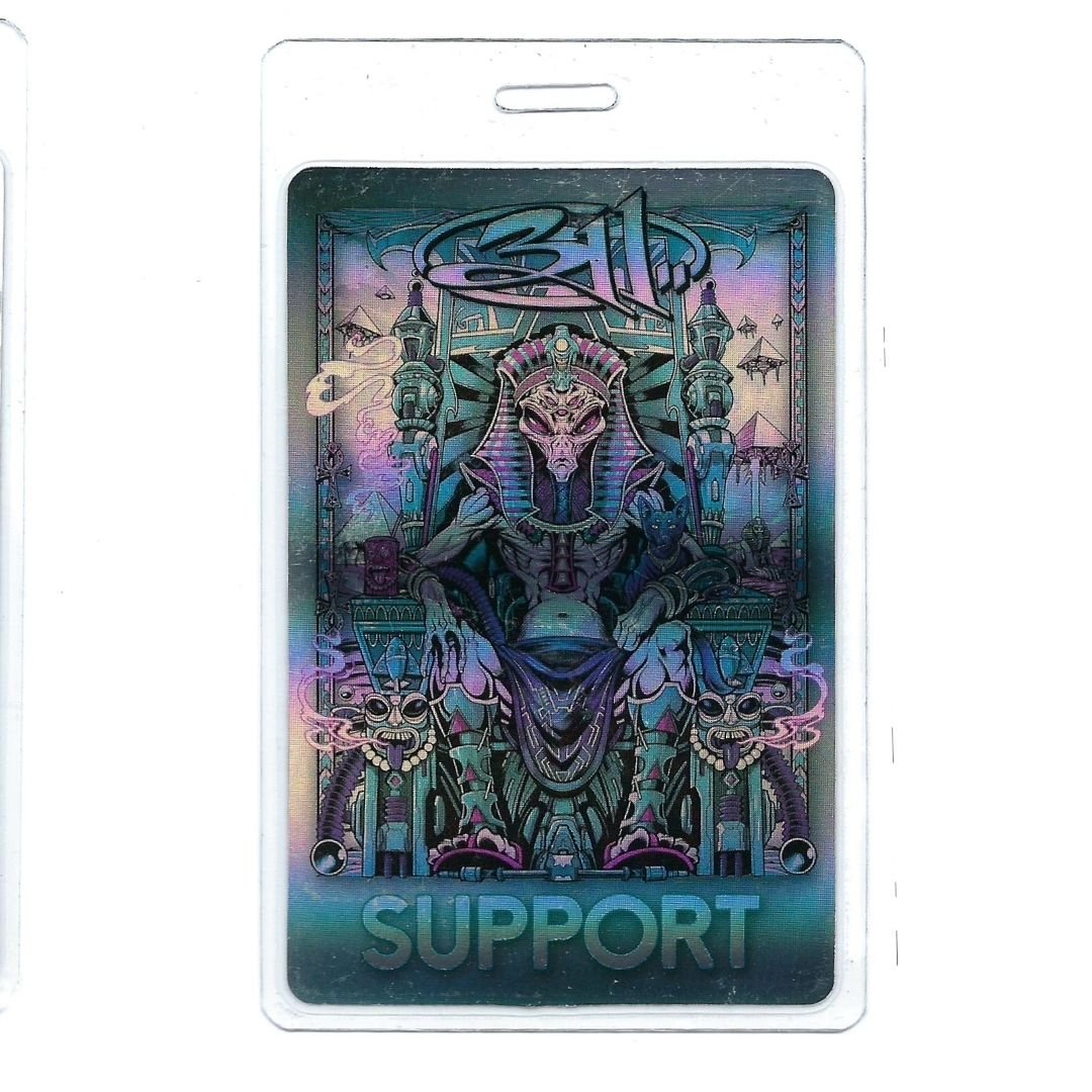 Tour Pass Laminate - 2024 311 DAY / SUPPORT