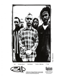 311 Full Band Promo Photo Prints (1994, SIGNED)