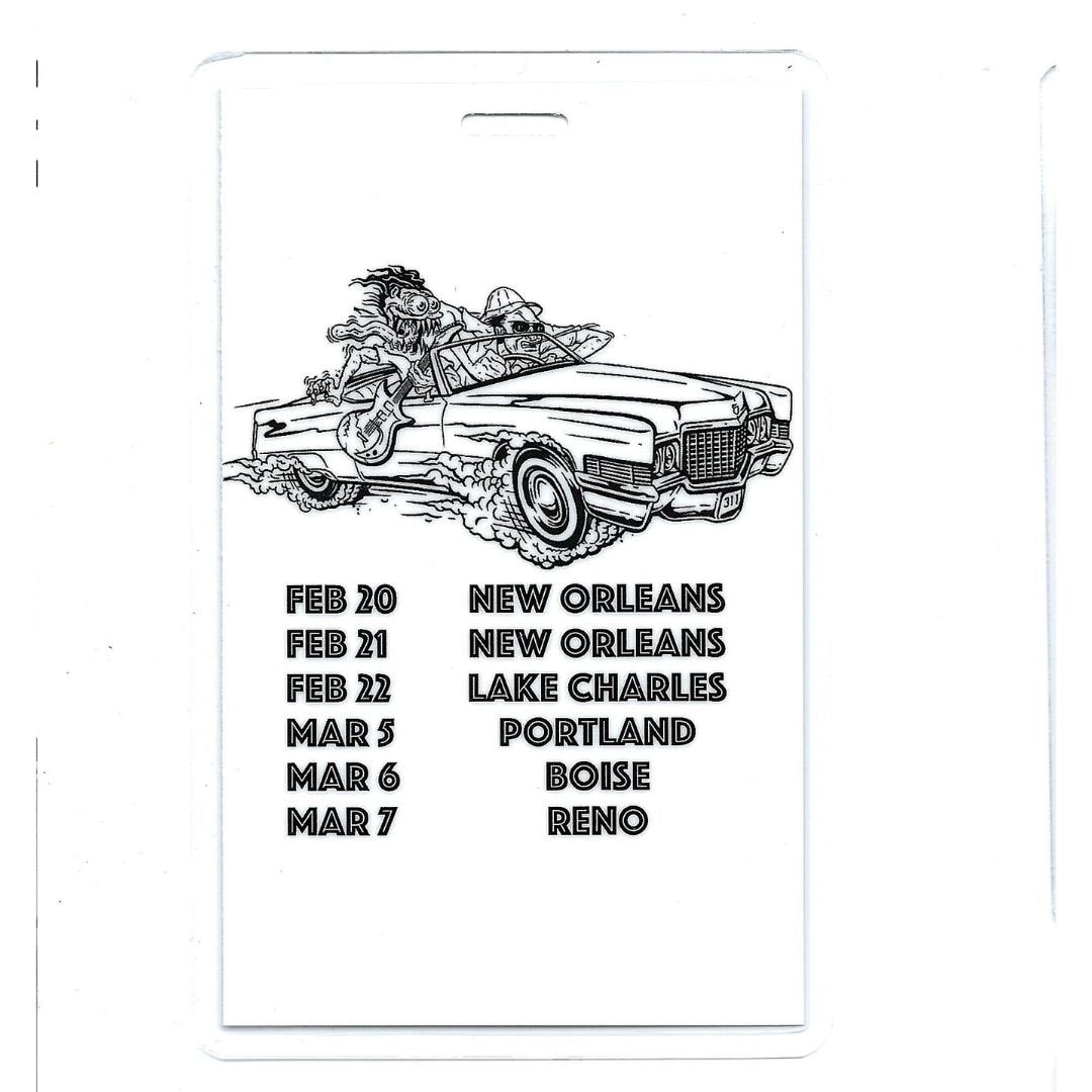 Tour Pass Laminate - 2020 ROAD TO 311 DAY / AAA